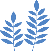 antipodeanadvisory-leaf-icon